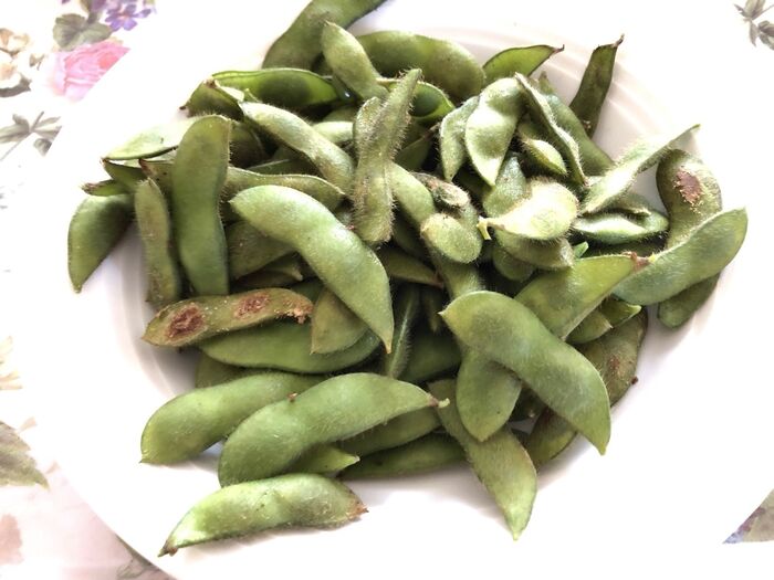 売り物に見劣りしない枝豆の収穫に成功です♪