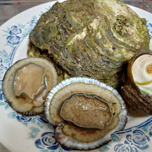 地産地消な夕食 まさかの仰天な展開 お刺身とボイル巻貝