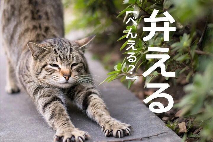 【弁える】を「ベンエル」と読んじゃってない?【読めないと恥ずかしい漢字クイズ】