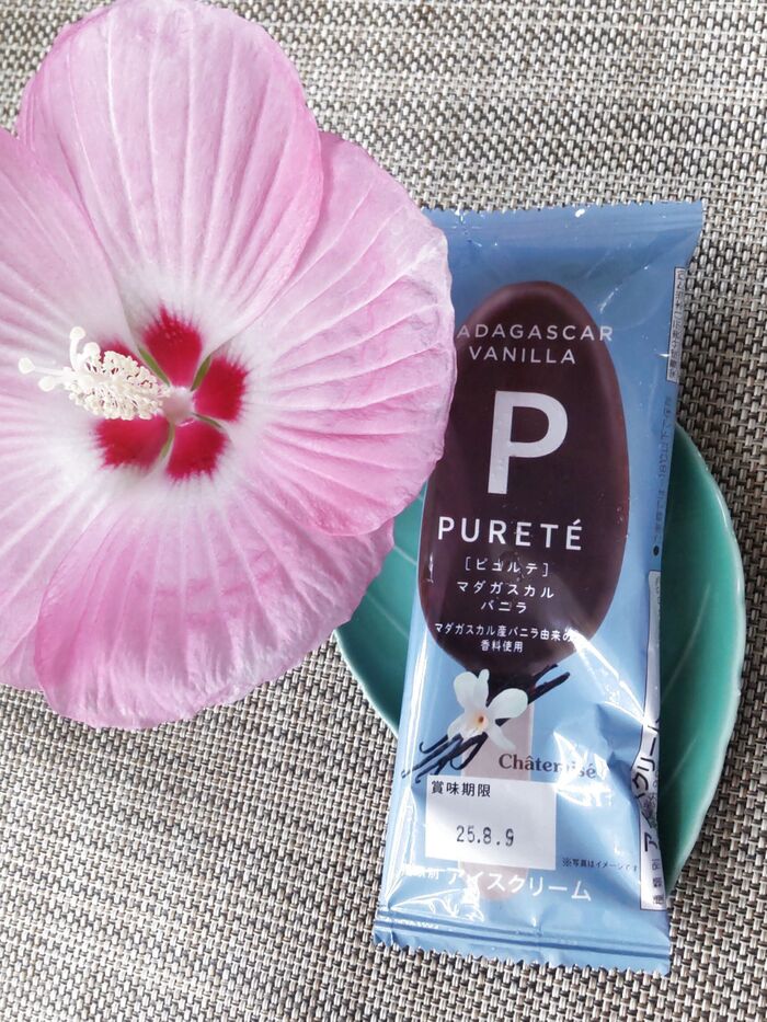 【シャトレーゼ」カカオの濃厚なお味×北海道産生クリーム!純粋さを意味する♡一押しアイスクリーム!