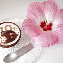 【シャトレーゼ】糖質70%カットのアイス!さらに美味しく食べてみたー!雑誌でも糖質ケア部門に選出!