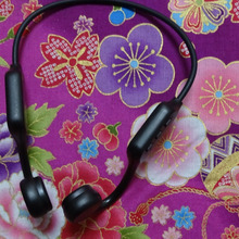 IP68防水設計イヤフォン!水深2mOK…必要ある?