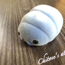 今からでも間に合う!虫好きな子にお勧め♪調べてびっくり【ダンゴムシの生態】