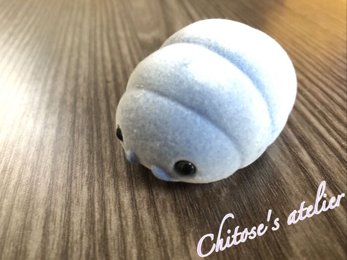 今からでも間に合う!虫好きな子にお勧め♪調べてびっくり【ダンゴムシの生態】