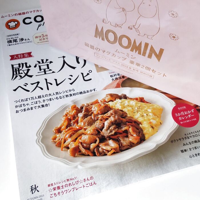 【付録開封ー!】クックパッドの雑誌付録が凄かったー!割れずに無事到着です♪2個もついてくる。
