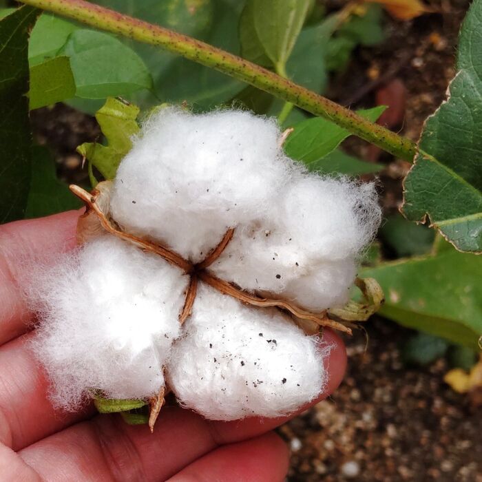 真正面は、このようになっていました!