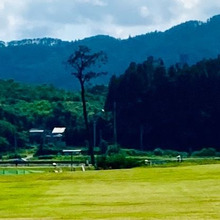 震災復興のシンボル「奇跡の一本松」