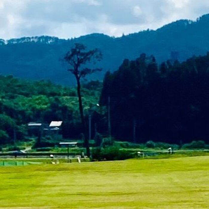 震災復興のシンボル「奇跡の一本松」