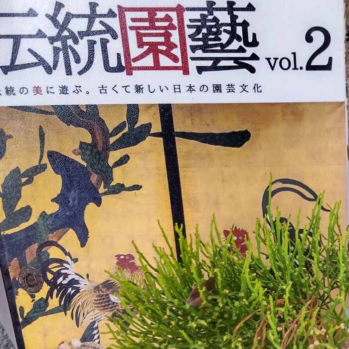 古典園芸植物の一つの分野として扱われていますよ