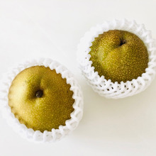 りんごと向き違うんかーい!!「人間は忘れる生き物だった…。」【梨の保存方法】