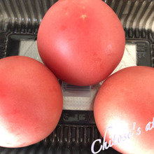 難しい事なんて何ひとつない【身近なプロが教えてくれるから♪】