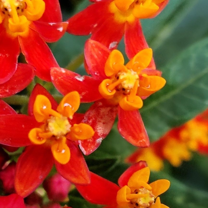 よく見ると・・・