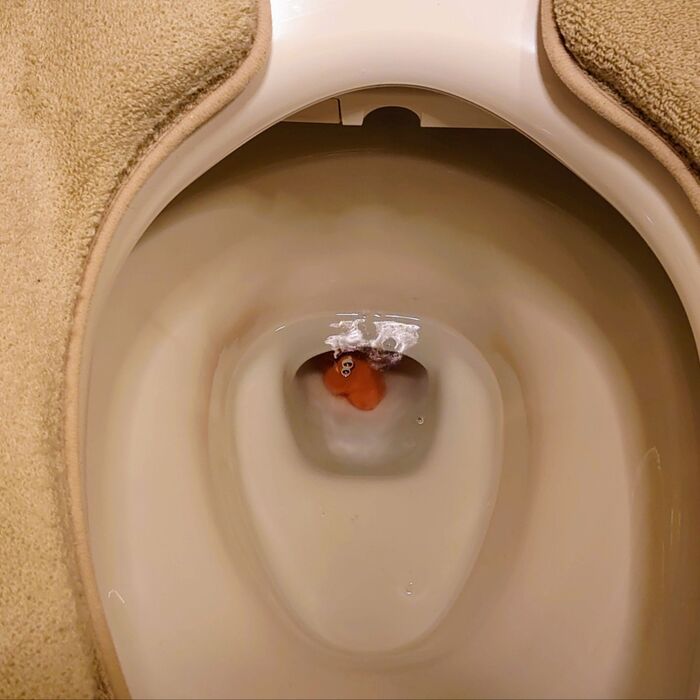 見やすくする為に少しお水を流して、透明にしています