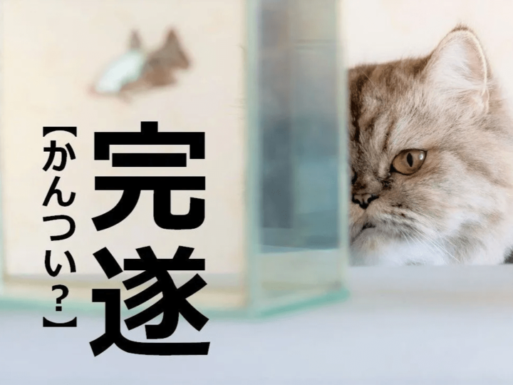 【完遂】を「かんつい」と読むと笑われます!!【読めないと赤っ恥漢字クイズ】