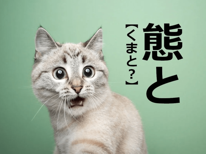【態と】を「くまと」と読むと2回笑われます!【読めないと恥ずかしい漢字クイズ】