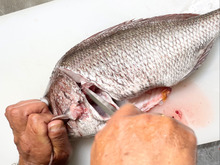 手についた【魚臭】グリル内の【飛び散り油】を一瞬で取る方法!魚屋さんは当たり前?!