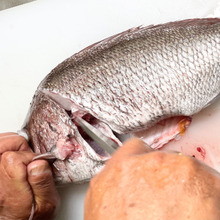 手についた【魚臭】グリル内の【飛び散り油】を一瞬で取る方法!魚屋さんは当たり前?!