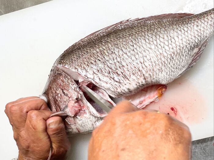 手についた【魚臭】グリル内の【飛び散り油】を一瞬で取る方法!魚屋さんは当たり前?!