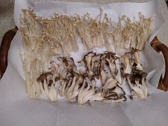 干した後のきのこ