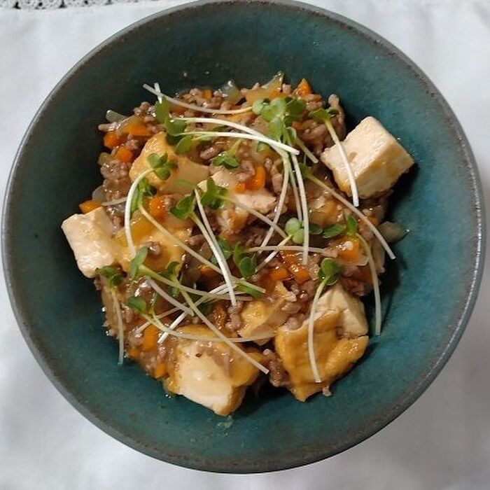 厚揚げとミンチ肉の甘酢あん