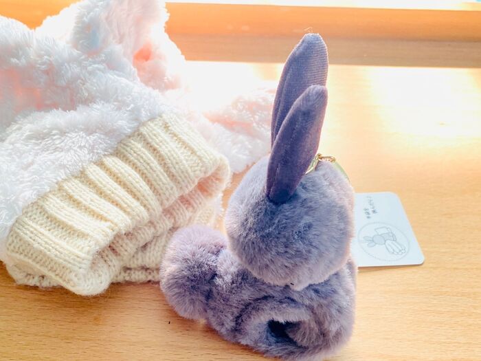 可愛い!もこもこ、ふわふわ見ているだけで癒される