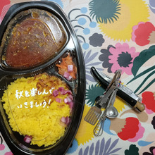 spicecurry探訪 127/200 Hyper!!『キッチンカー スパイス日和』