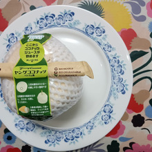 ヤンココと…通は言うらしい!!