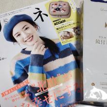 めちゃいい!当たりな雑誌付録ー!どこでもドレッサーに!♡リトルミイの華やか刺繍が、大人可愛いお品です