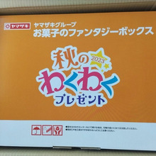 【懸賞当選】人気お菓子25品入り♡ヤマザキ【2023年秋のわくわくプレゼント】