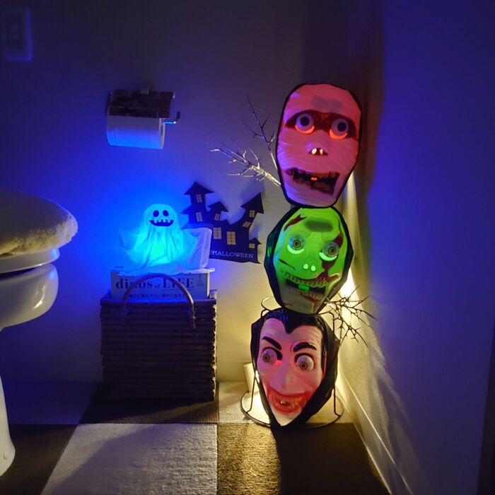 トイレのドアを開けると……これ結構ビックリするのよ