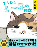 【マンガ】てらねこミー子の日常