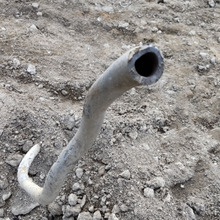 空き地の怪奇な物体の正体は?の続編です。さらに謎の深まるくねくね物体現るー!