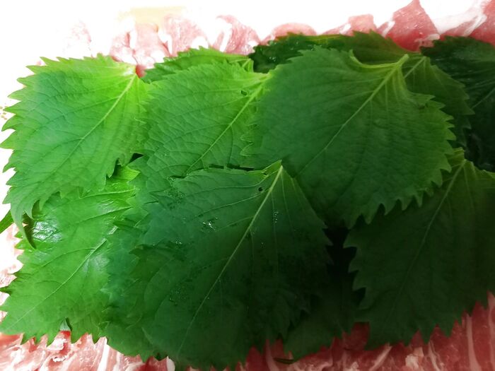 大葉を1パック♪豪快にいこー♪