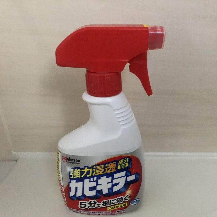 【朝の時間】「キレイな水回りは好きですか?」早9年目を迎える日曜朝のルーティンvol.1