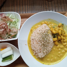 spicecurry探訪 133/200 Hyper!!『イナカフェ』