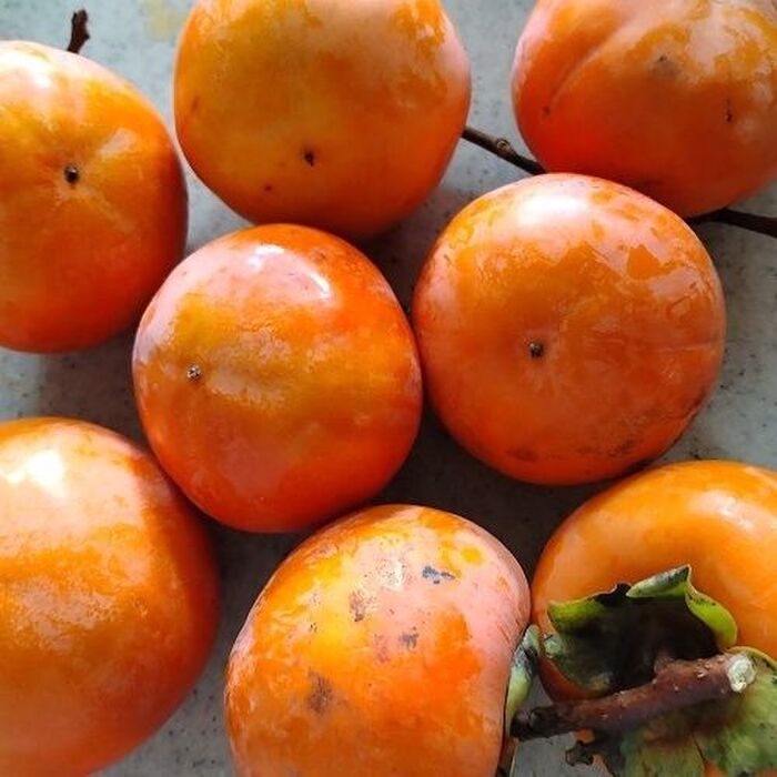 甘柿をセミ・ドライフルーツにしてみた!