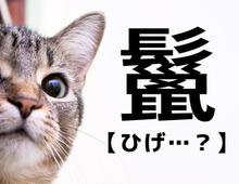 【鬣】って読める?「ひげ…?」ではありませんよ!【読めたらスゴイ!難読漢字クイズ】