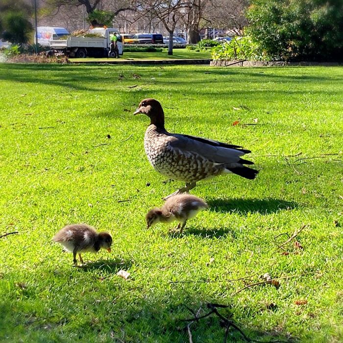 独自の条例に注意!