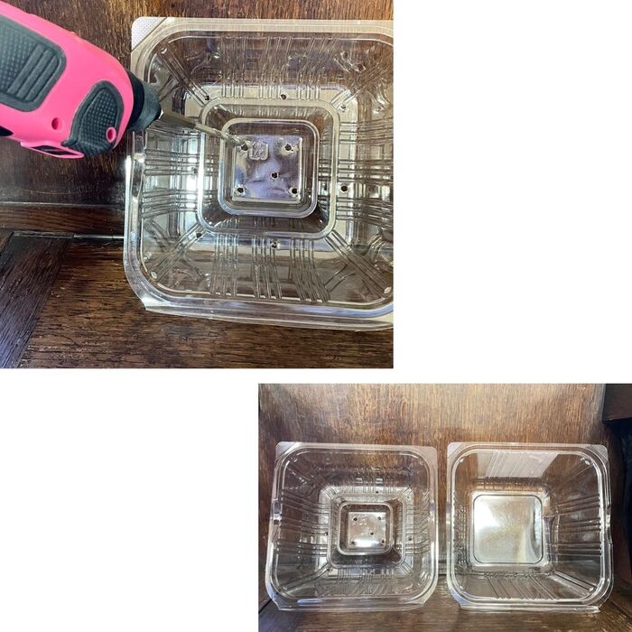 【7】種から育てる簡易植木鉢に