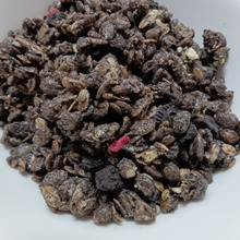 どこに行っても売り切れ!?激レア