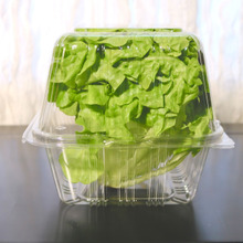 ブーケレタスの容器を【鬼活用10選】これ見たら便利すぎて捨てられないよ!