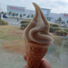 IKEAのソフトクリームとバッグの話…