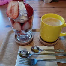 今日のcoffee break【月見山/カフェpapapapippies】