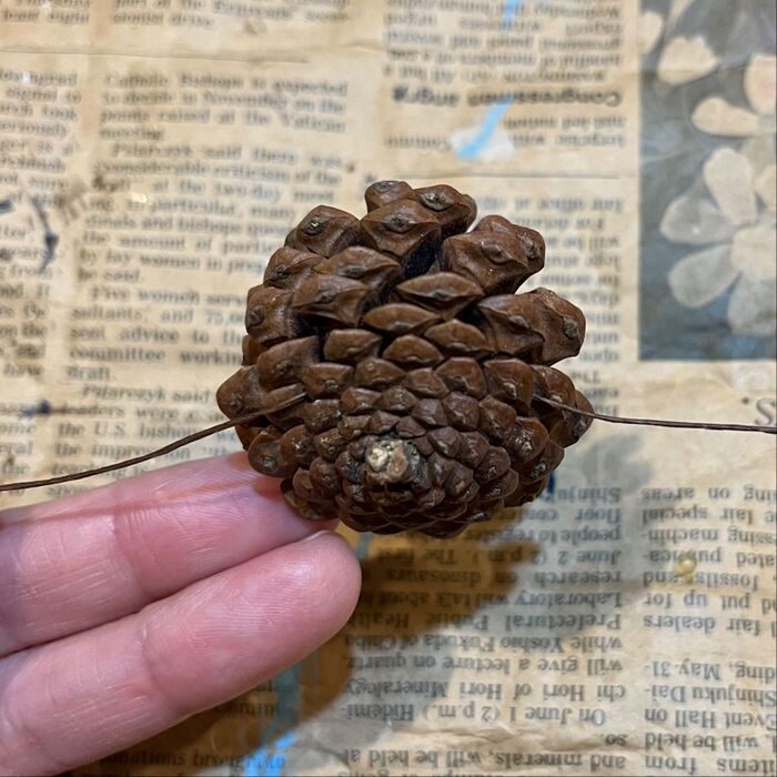 花材ワイヤリング②松ぼっくり