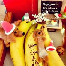 ミニチュアダックスのクリスマス