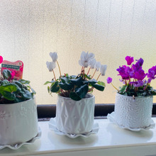 今年買って、今でも活躍中のもの3点。太鼓判付き!