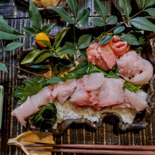 天之瀬ぶり!ブリフィーレ(半身)!まずは、ぶり刺身・ぶり丼・パリパリ皮塩焼きから