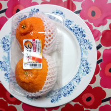 JA鹿児島いずみ【大将季】