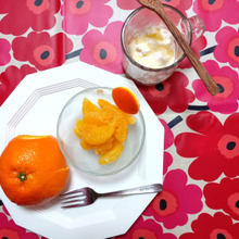 柑橘王国第4弾【伊予ちゃん】