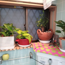 トイレgarden現る!!DIY工作で遊ぶ!!